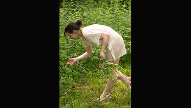 image-438912