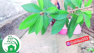 Desi fatty youtuber nude work