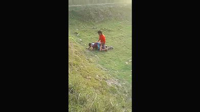 Bihari bhahi kodikarke pela