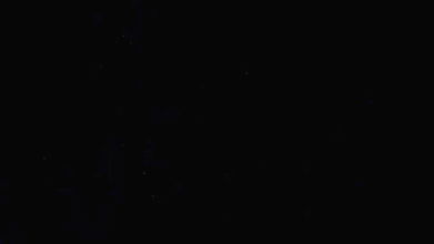 Random Cam collection Feb23 – 956