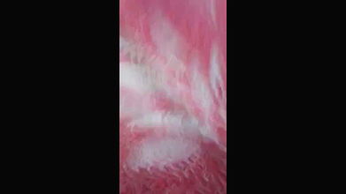 Cute Punjabi Girl Enjoying