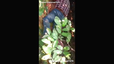 InShot20250825175350395