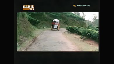 Quatil Dilruba Mallu B Grade Movie