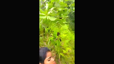 VID 20250411 WA0007