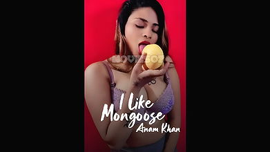 I lIke Mangoose – Anam Khan