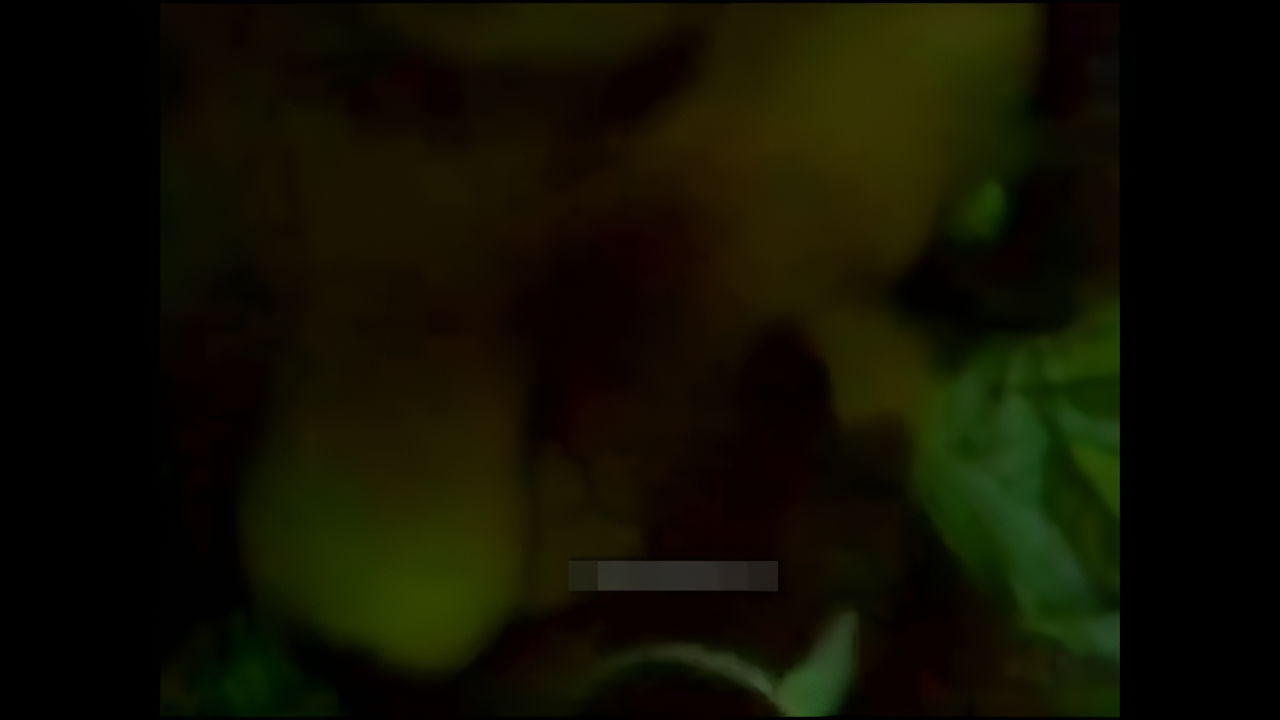 pervert guy recording nude gf