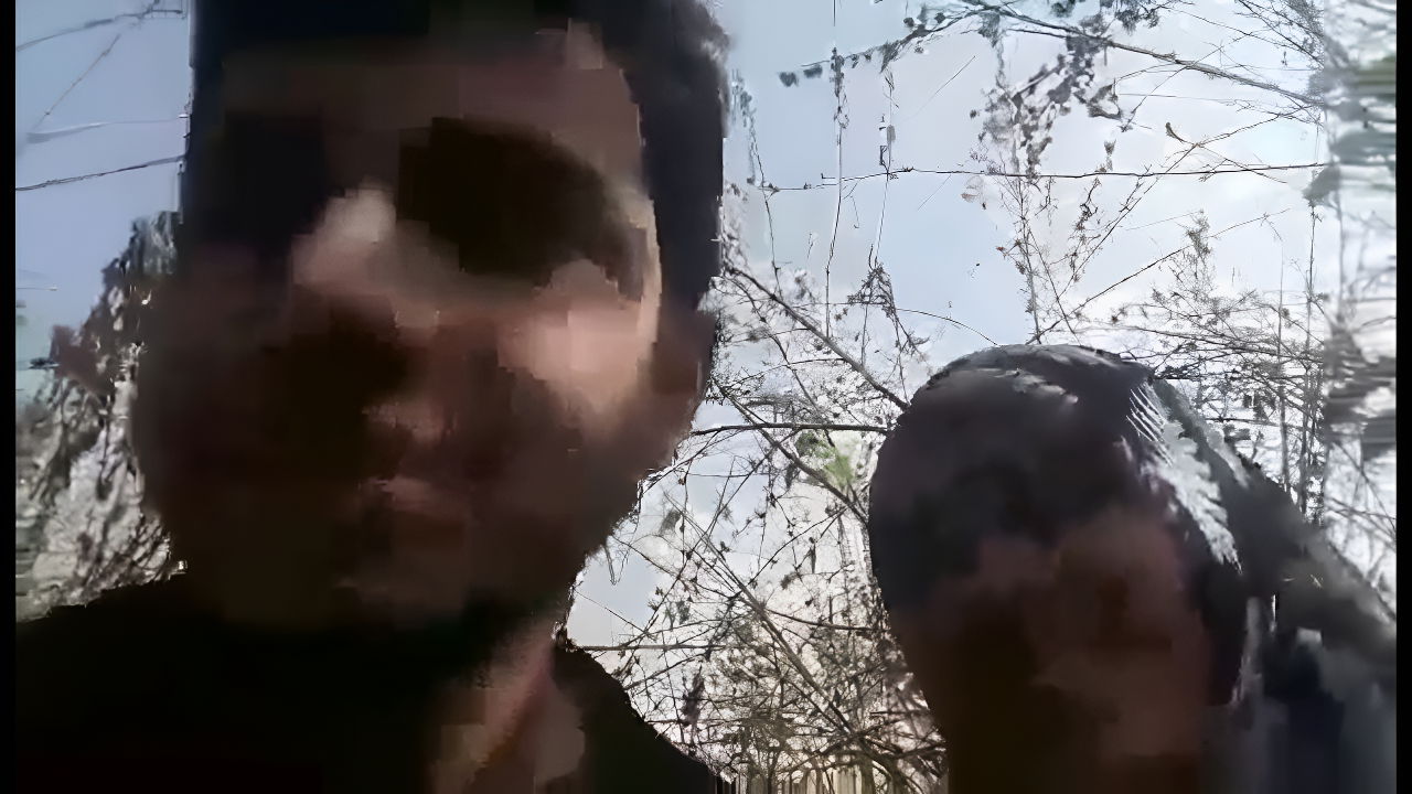 outdoor blowjob by gf