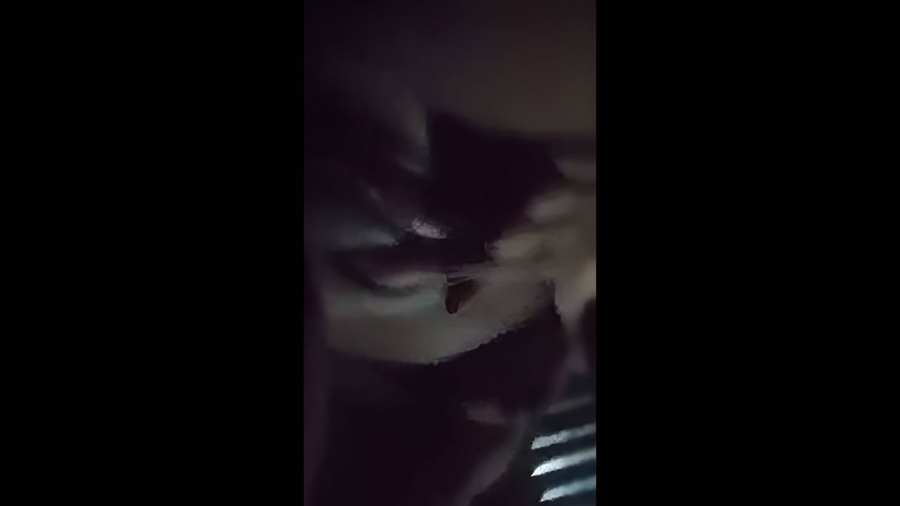 5 6077816501266552064