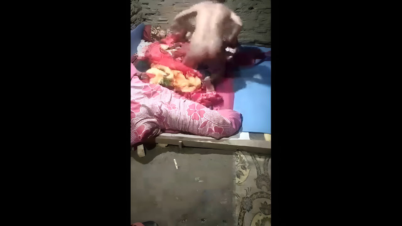 dehati newly married couple sex in winter night