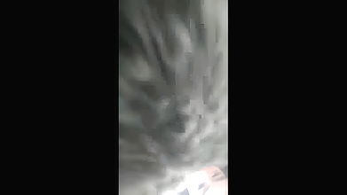 sucking pussy then fucking