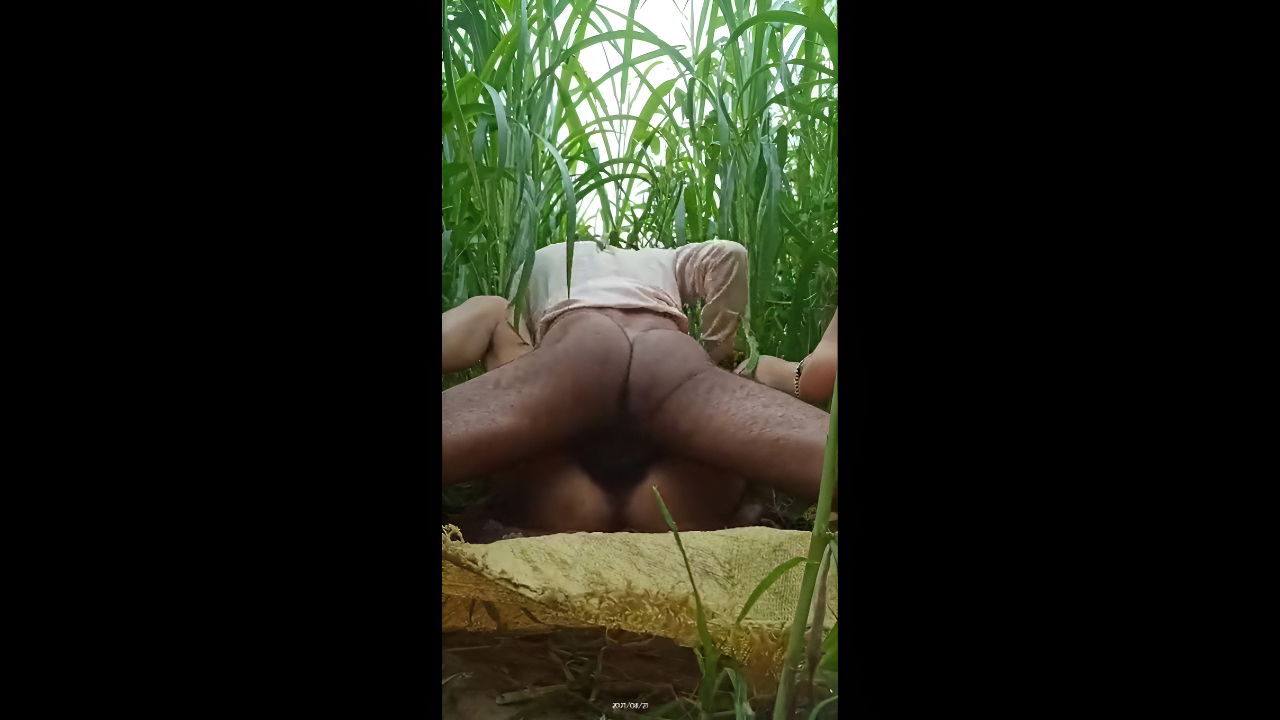 bhabhi ko makai ke khet me choda