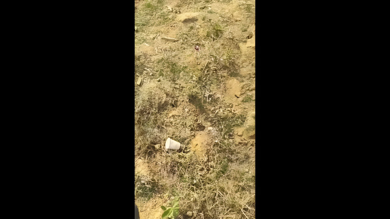 Indian Bhabhi sex in the outdoors