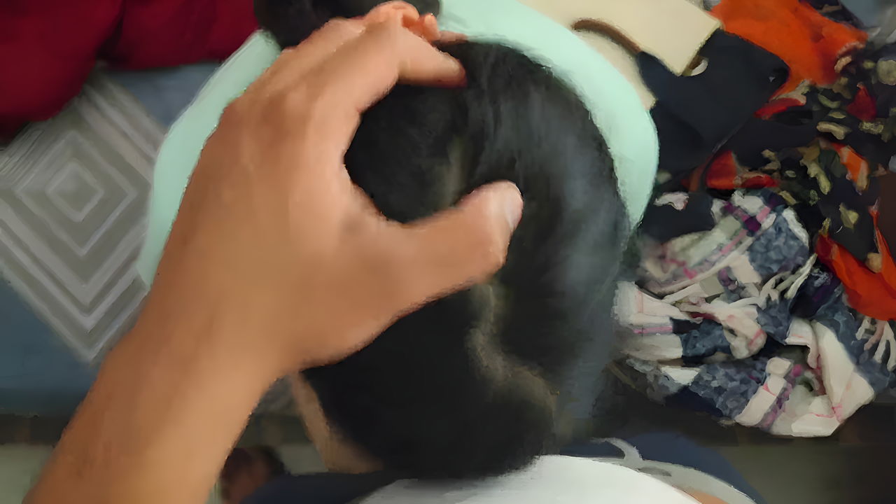 wife blowjob to husband