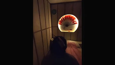 beatiful sexy indian horny gf fucking