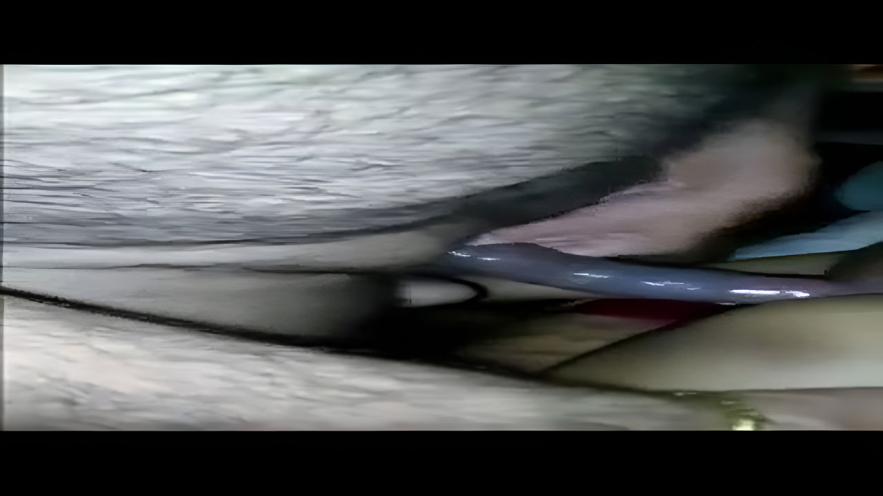 Hardcore moaning wife sharing sex MMS