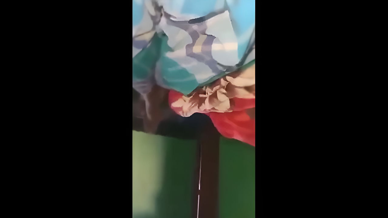 Maid Apne naukrani ko choda