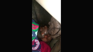 Rajasthani blowjob sex MMS clip