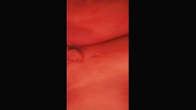 chubby orange pussy show