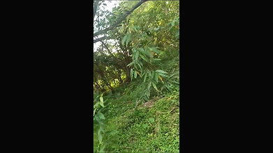 khule mein lund chuske sawari kri