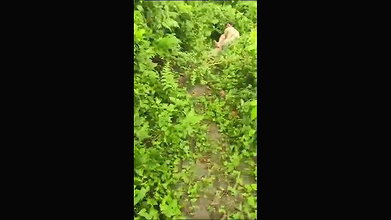 VID 20260102 WA0002
