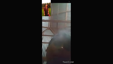girlfriend long boobs show on video call to lover