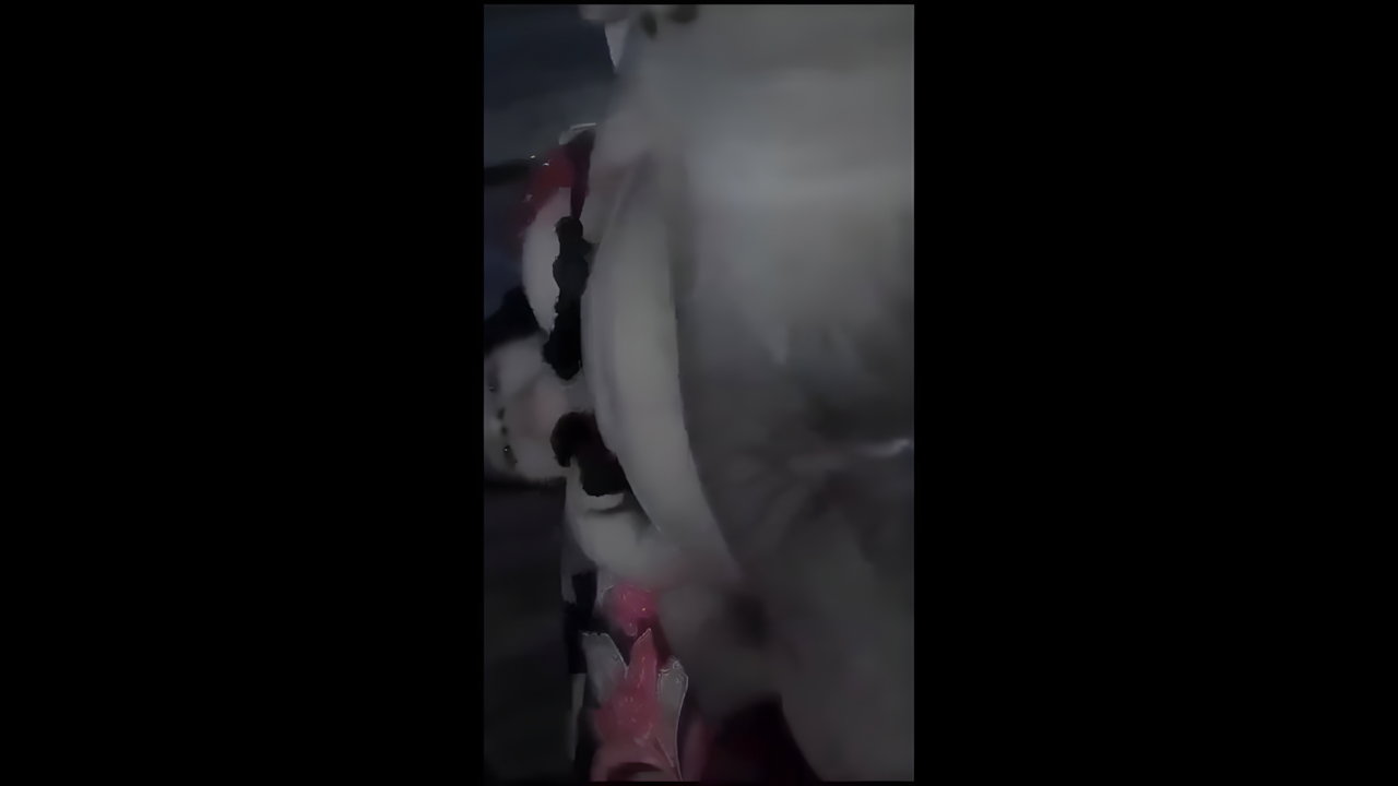 huge ass Bengali sex girlfriend stripping to nude