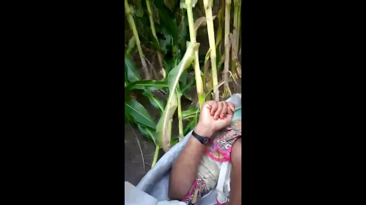 Sexy bhabhi sex in the jungle