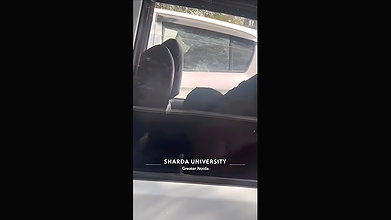 sex inside car
