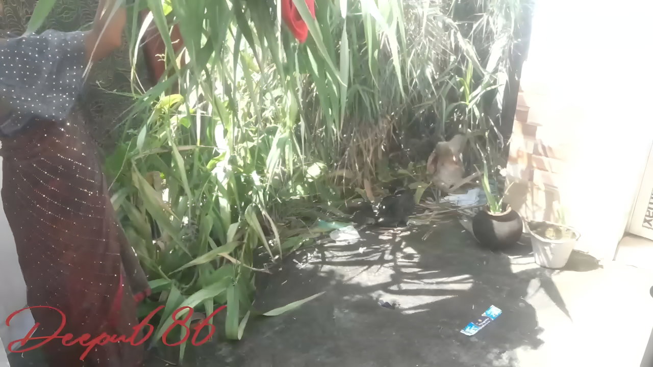 Bihar Sexy Village Aunty Outdoor sex with Lover