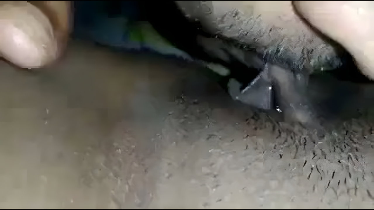 1000056474