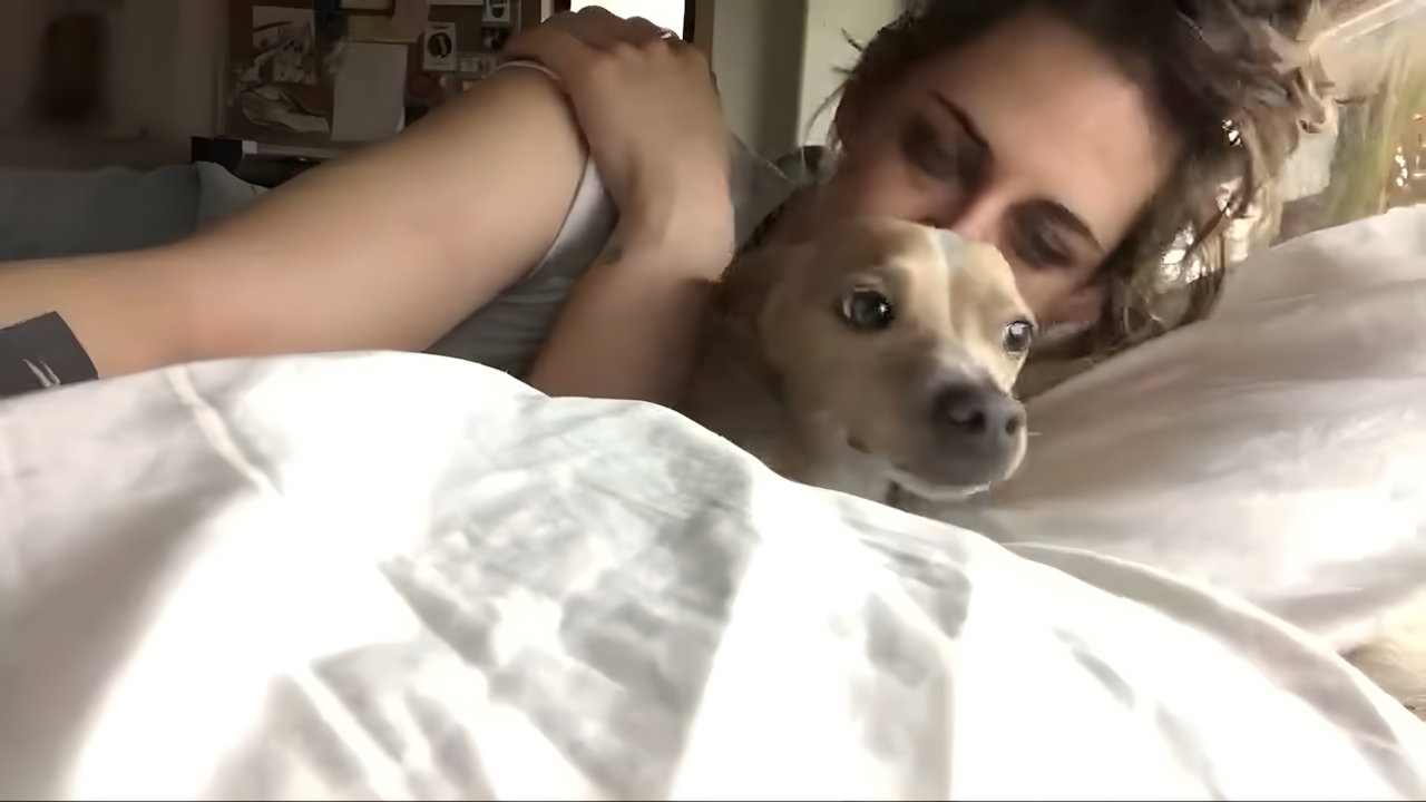 boob show 2