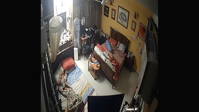 cctv nude show