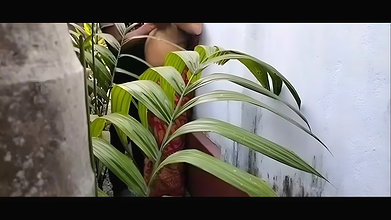 Devar fuck his bhabhi back of the house