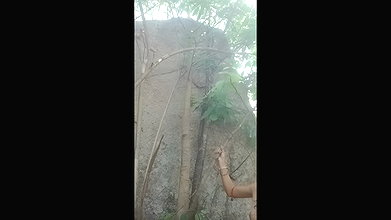 Boyfriend fuck his gf outdoor