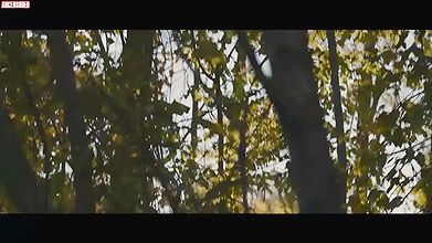 Ellen Page – The East