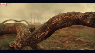 emma paetz – pennyworth