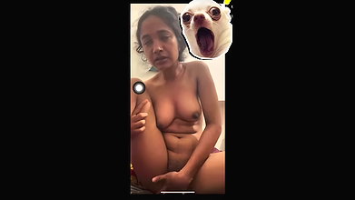 GF 1 4
