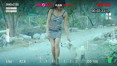 Doggy Lover BTS 2026 MoodX 1440P 2 1
