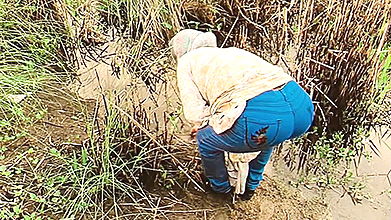 I Bring Her Home From Forest