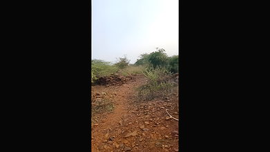 Desi aunty outdoor village sex