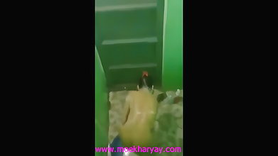VID-20254458-WA467145146
