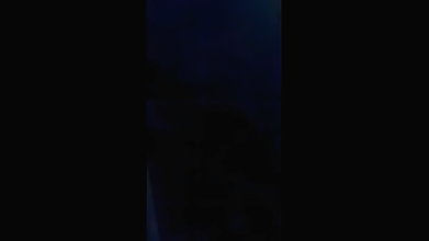 VID-20254458-WA467145168