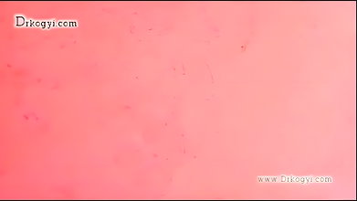 VID-20254458-WA467145191