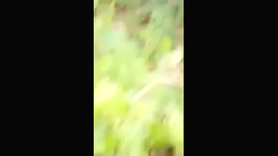 VID-20254458-WA467145192