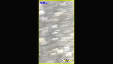 VID-20254458-WA467145206