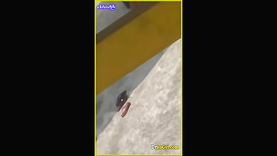 VID-20254458-WA467145208