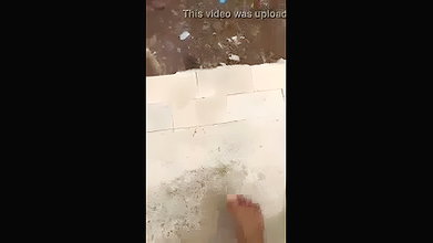 VID-20254458-WA467145234