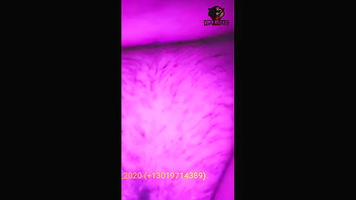 Rakshita Rao 21.03.2021