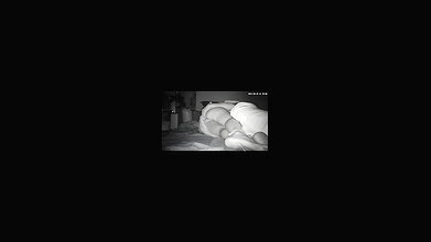 Indian wife big dick