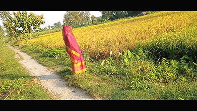 Desi paddy harvesting, new daughter-in-law’s father-in-law fucked. Hindi conversation. HQ XDES